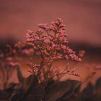 Lesen LED Bilder Bewertungen